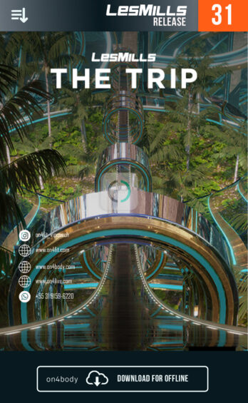 THE TRIP – 31