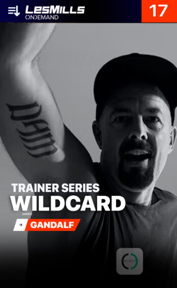 Wildcard # 17 – Gandalf